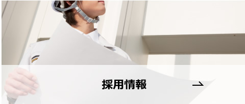 採用情報